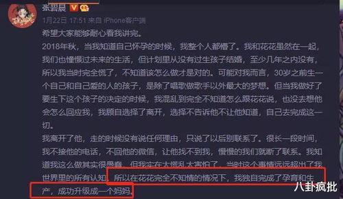 娱乐圈弹幕吃瓜小说,弹幕下的瓜田秘闻